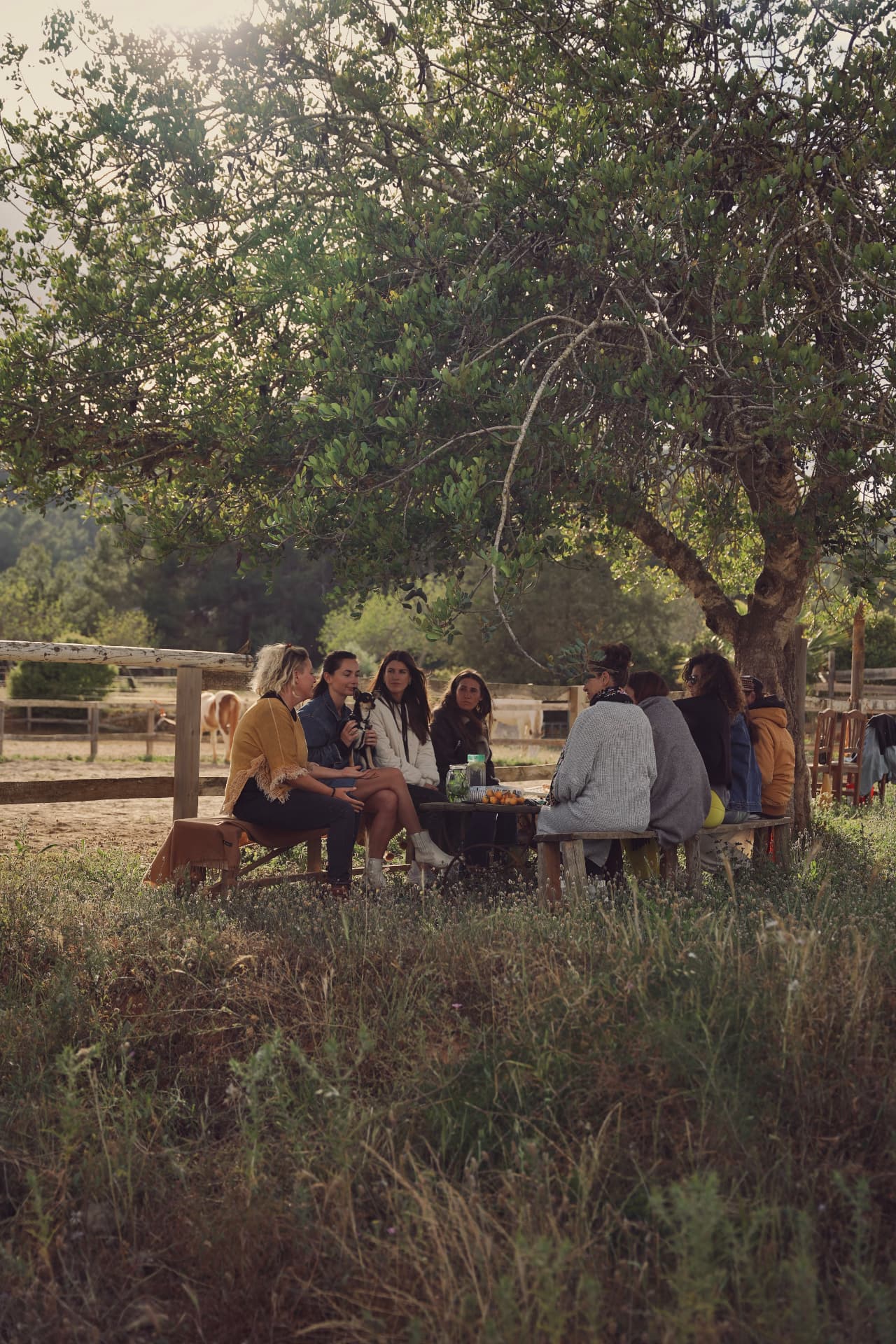 The group under the carob tree, witnessing one participant's session in the arena.